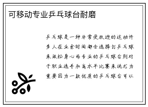 可移动专业乒乓球台耐磨