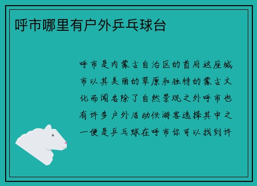 呼市哪里有户外乒乓球台